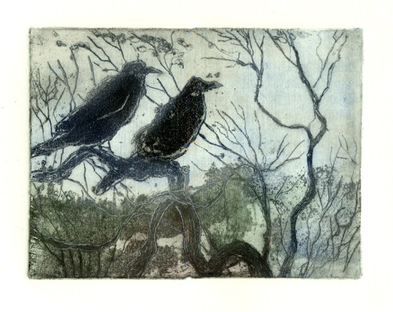 crows